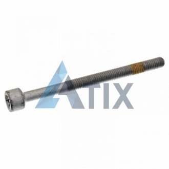 Болт крепления форсунки с внутренним Torx M6x55 Mercedes Vito, Sprinter, E-Class 2.2CDI. 2.7CDI. 3.2 FEBI BILSTEIN 28407 (фото 1)