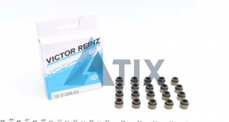 Комплект прокладок, стержень клапана VICTOR REINZ 12-31306-03 (фото 1)