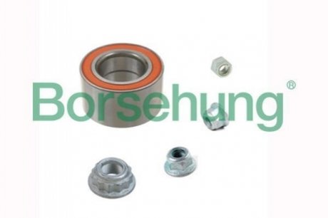 Комплект подшипника Borsehung B15959