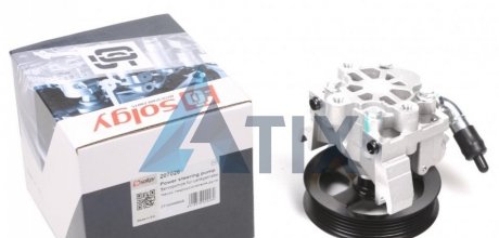 Насос ГУР Ford Connect 1.8TDCi 02-13 Solgy 207026 (фото 1)