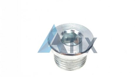 Пробка піддону FA1 Fischer Automotive One (FA1) 257.815.001