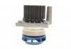 Комплект водяного насоса / зубчатого ремня SKF VKMC 01250-1 (фото 6)