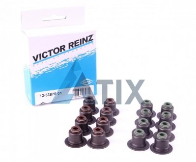 Комплект сальників клапанів VICTOR REINZ 123387601