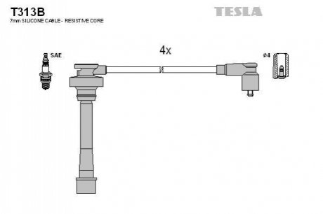 Комплект электропроводки TESLA T313B