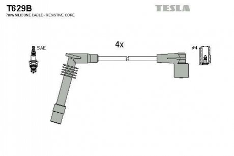 Комплект электропроводки TESLA T629B (фото 1)