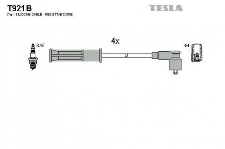 Комплект электропроводки TESLA T921B (фото 1)