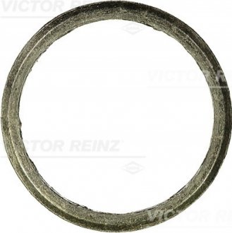 Уплотняющее кольцо VICTOR REINZ 71-41343-00 (фото 1)