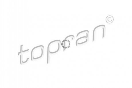 Кольцо уплотнительное болта клапанной крышки Opel TOPRAN / HANS PRIES 206529 (фото 1)
