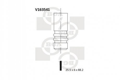 Клапан двигуна BGA V163541 (фото 1)