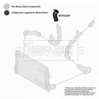 Патрубок SA BORG & BECK BTH1229