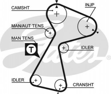 Ремень Gates 5561XS