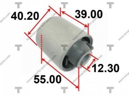 Сайлентблок //TAB-317 (шт.) TENACITY AAMTO1096