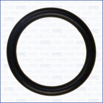 Кольцо уплотнительное AJUSA 16063100 (фото 1)