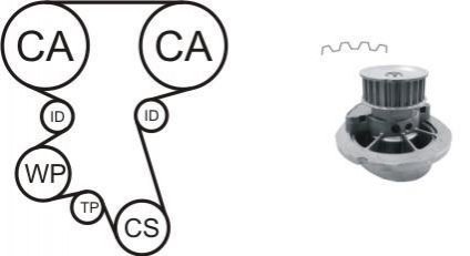 Водяной насос + комплект зубчатого ремня AIRTEX WPK-167602