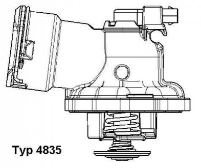 Термостат, охлаждающая жидкость WAHLER 4835.87D