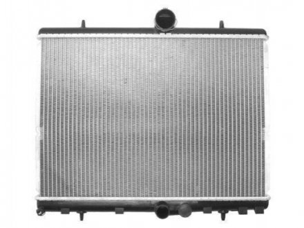 Основной радиатор (двигателя) THERMOTEC D7C010TT (фото 1)