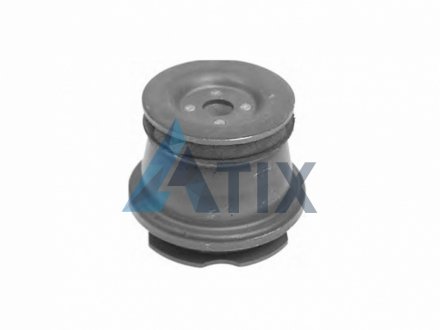 HUB CARRIER BUSH Kautek FI-BS063