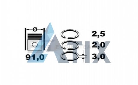 Кільця поршневі HYUNDAI/KIA 91.0 (2.5/2/3) 2.5 CRDI D4CB FRECCIA FR10-248100 (фото 1)