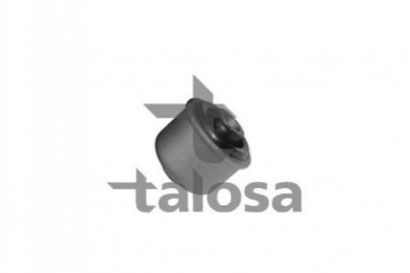 SUSPENSION BUSH TALOSA 57-06027