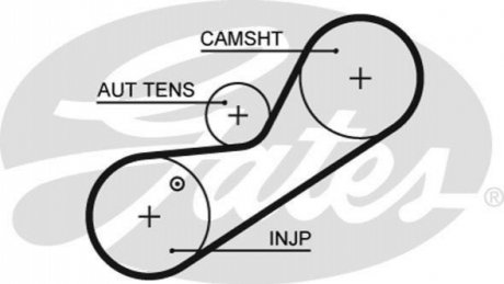 Ремінь ГРМ Gates 5546XS_ (фото 1)