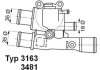 ТЕРМОСТАТ WAHLER 3163.88D (фото 1)