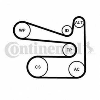 Поликлиновой ременный комплект Contitech 6PK1693K1 (фото 1)