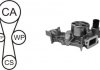 Водяний насос + комплект зубчатого ременя AIRTEX WPK-181801 (фото 1)