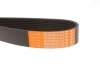 V-Ribbed Belts HUTCHINSON 1200K8TK (фото 3)