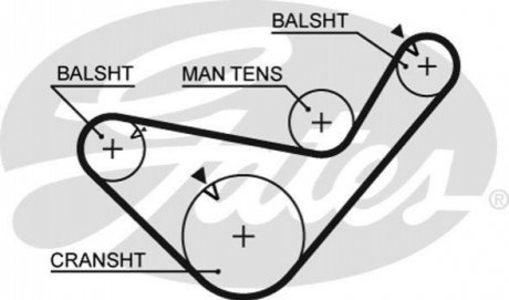 Ремінь ГРМ Gates 5456XS