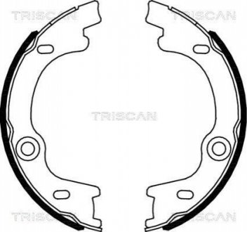 Комплект тормозных колодок. Комплект тормозных колодок, стояночная тормозная система TRISCAN 8100 18010 (фото 1)