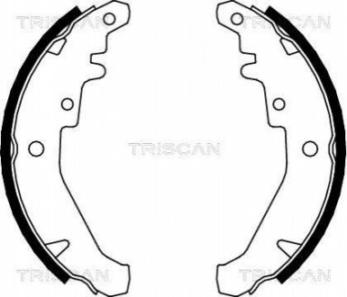 Комплект гальмівних колодок TRISCAN 810015026