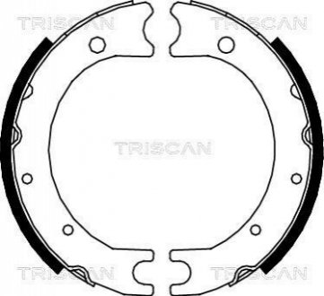Комплект гальмівних колодок, Стоянкове гальмо TRISCAN 810013036 (фото 1)