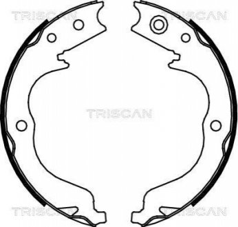 Колодки тормозные барабанные, комплект TRISCAN 810010029
