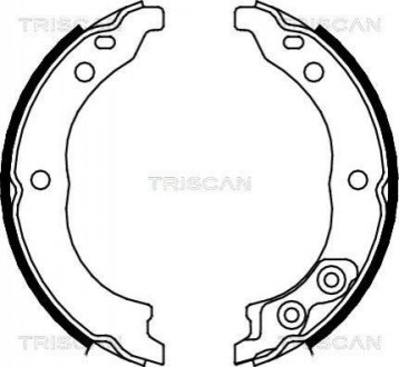 Комплект тормозных колодок, стояночная тормозная система TRISCAN 810010010