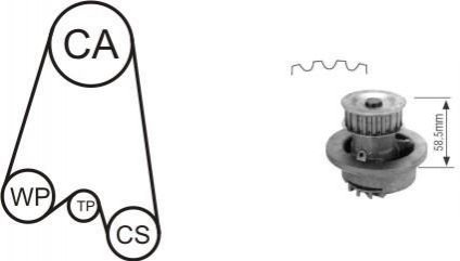 Насос води + комплект зубчатого ремня AIRTEX WPK-116401 (фото 1)