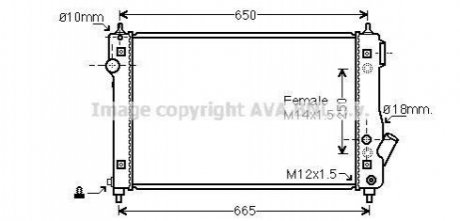 Радиатор двигателя AVA COOLING DW2087 (фото 1)